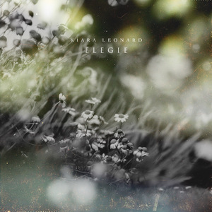 男女性色大片免费网站
